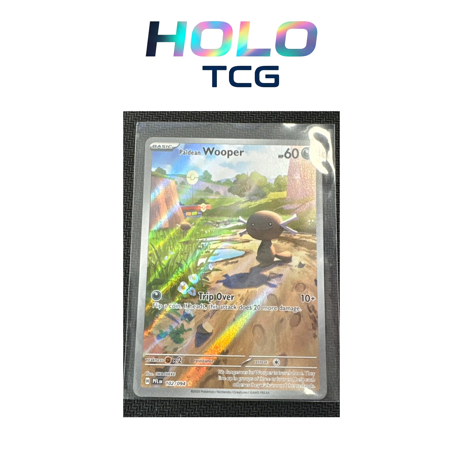 Paldean Wooper #102